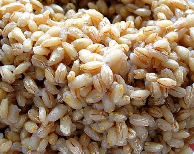 Though seldom used, Barley has many health benefits due to its outstanding nutrient content