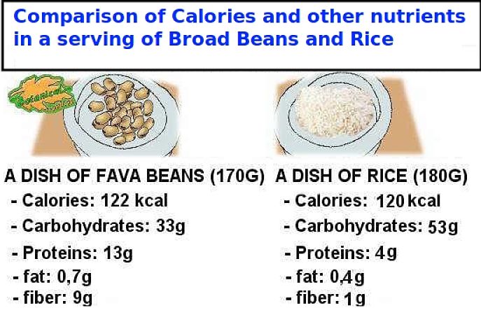 Broad beans have better nutritional values than rice, despite have similar energy rating in terms of calories. The protein content is espcially high for fava beans