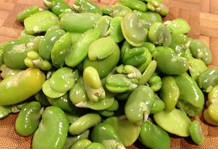 Fava beens are delicious and have a lovely color and texture that suits a wide range of dishes. See the fabulous range of recipes in this article