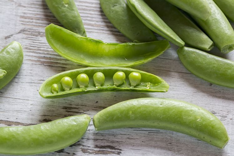 Sugar snap peas are a delightful combination of green peas, where you can eat the pods. Their nutrition is a combination as well