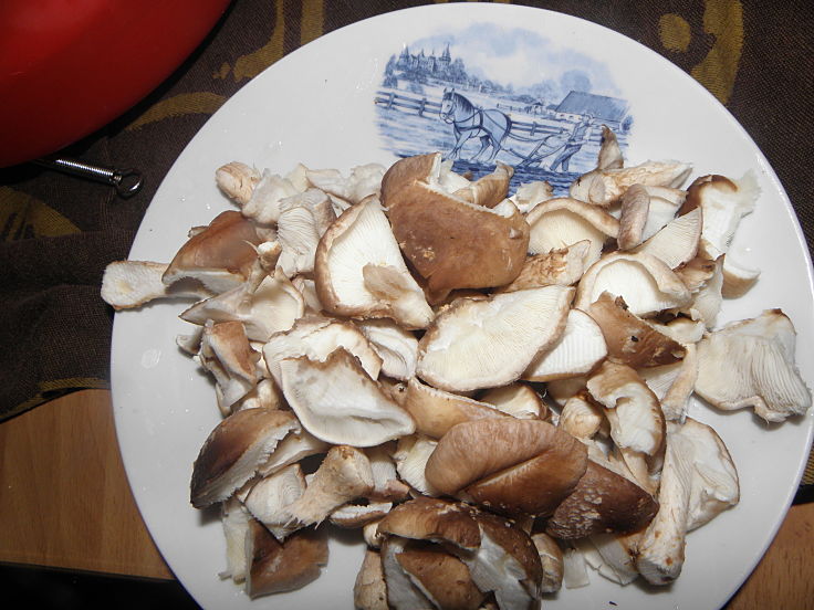 Shiitake mushrooms are very versatile and healthy - see the fabulous recipes here