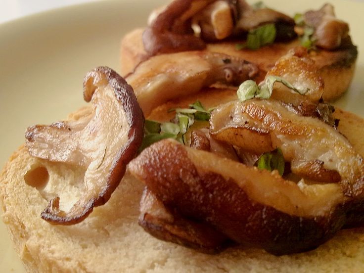 Grilled Shiitake Mushrooms and Basilicum on toast