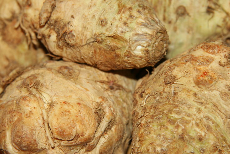 Celeriac roots ready for preparation