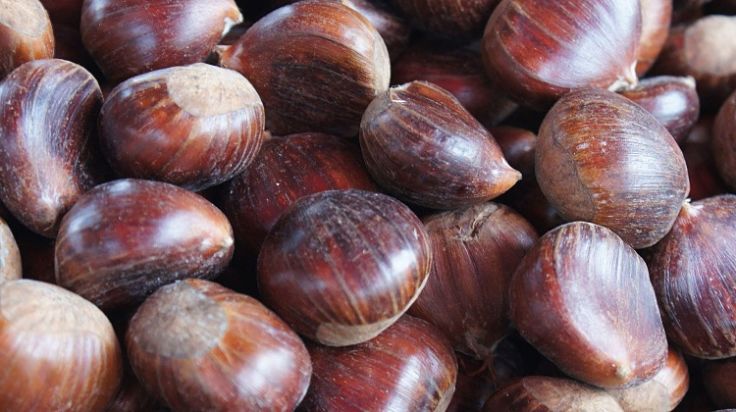 Discover the wide range of versatile uses for healthy chestnuts