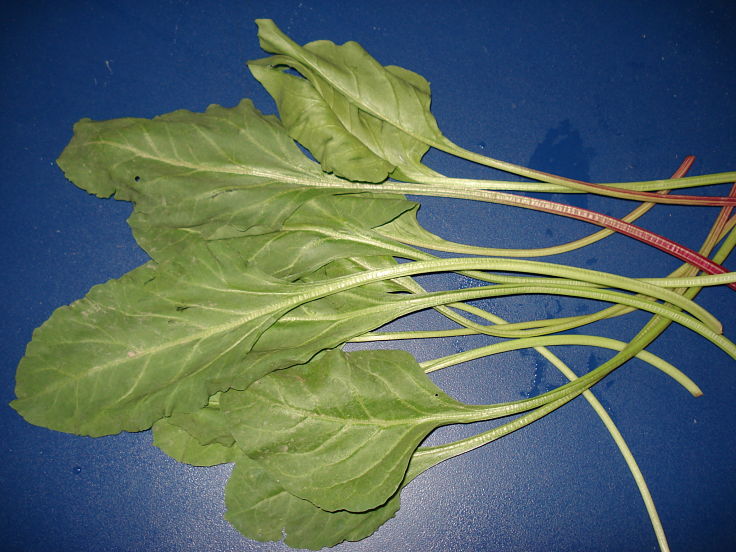 Raw spinach has very low calories and fat, but is high in fiber and protein