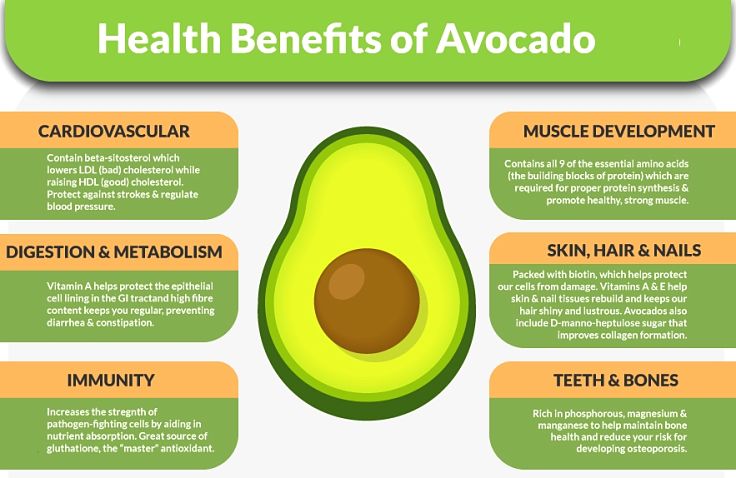 Health Benefits of Avocados for cooking, hair, skin and other applications and uses of avocados and avocado oil