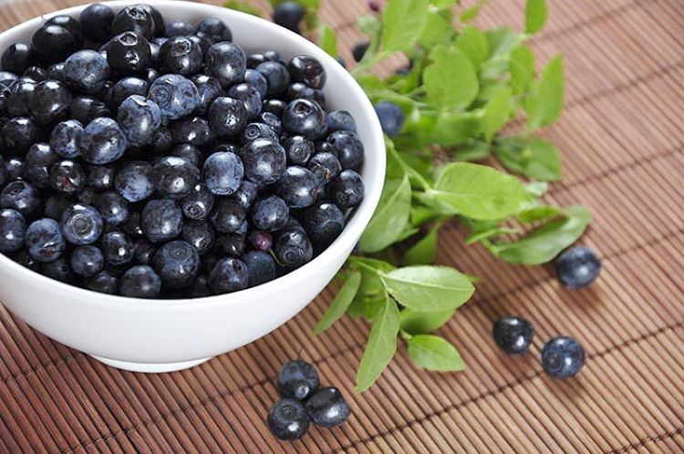 Blueberries are tasty and healthy