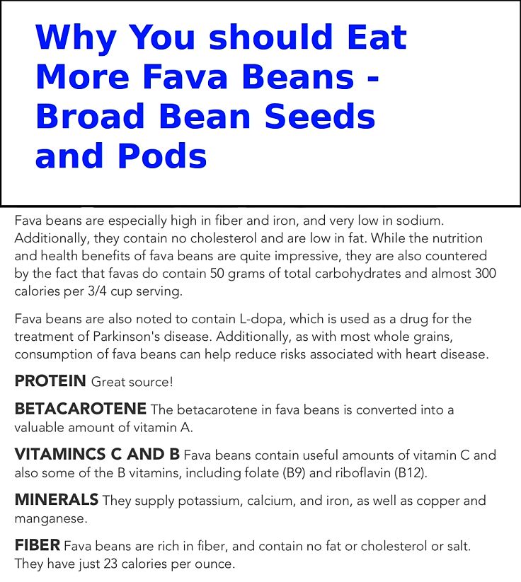 List of the major reason why you should eat more fava beans to get the benefit of their healthy nutrient levels. Learn more here.