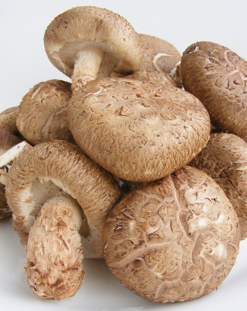 Shiitake Mushrooms have unique health benefits