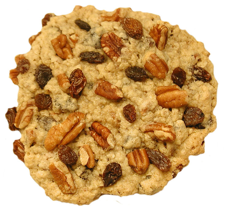 Oatmeal, raisin and pecan cookie