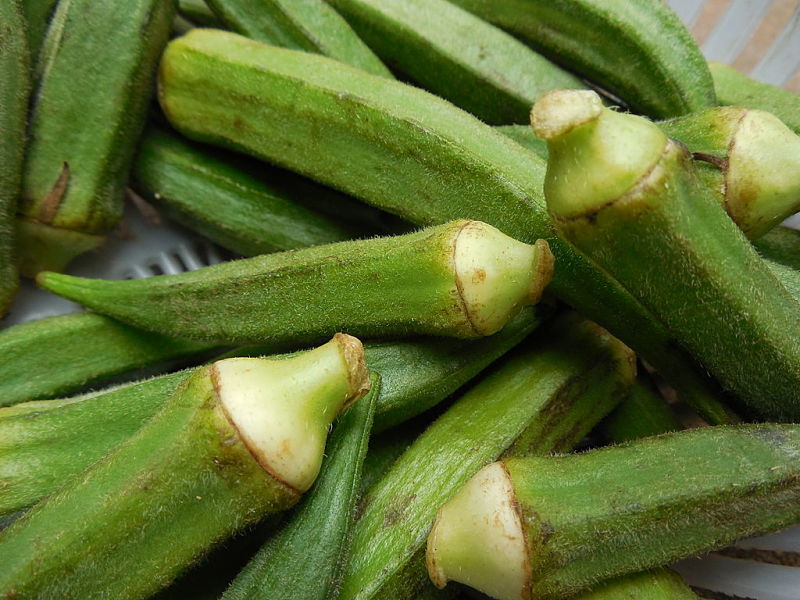 Okra are highly nutritious and have multiple uses