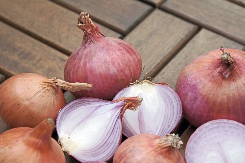 Onions are highly nutritious and have multiple uses