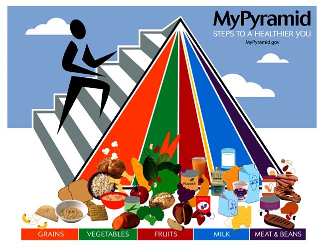 MyPyramid since replaced by MyPlate as a Government initiative