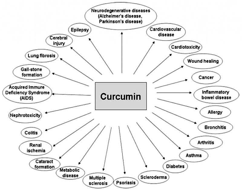Claimed Benefits of Curcumin