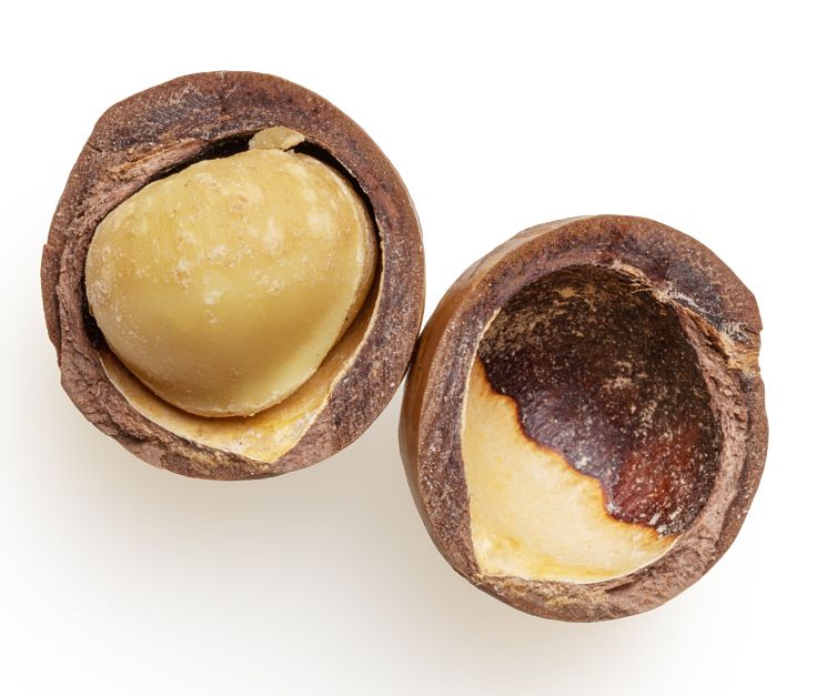 Discover the health benefits of Macadamia Nuts, compared with other nuts