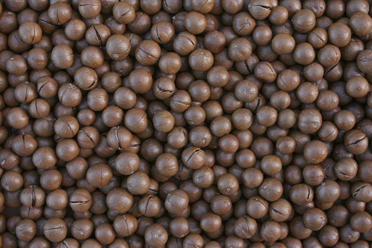 Macadamia nuts are endemic to Australia, but have been widely planted in many countries