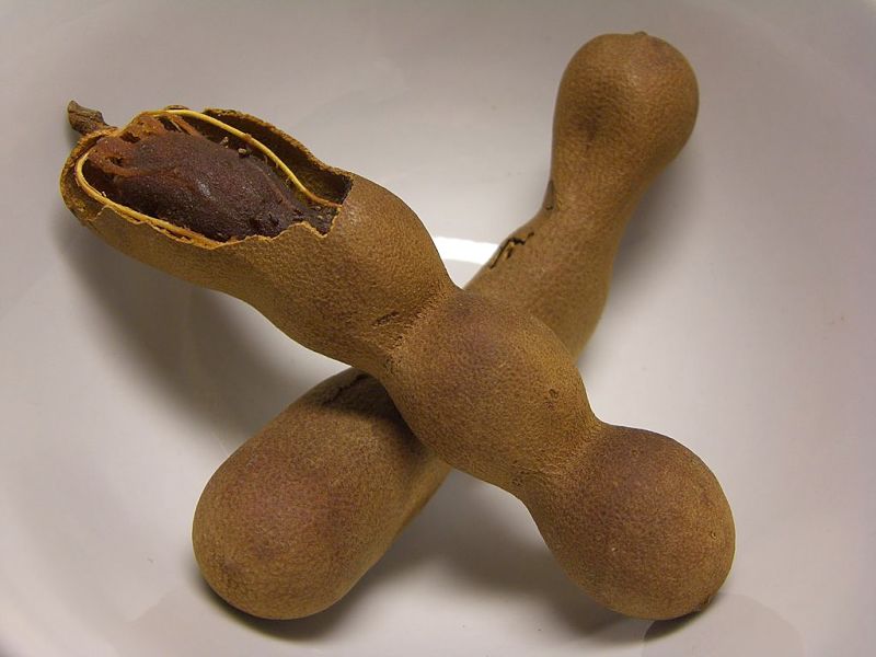 tamarind-nutrition-facts-health-benefits-culinary-uses-recipes